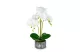 GLOBIZ 11917 Műnövény dekoráció - orchidea - 2 féle - 53 cm GLOBIZ 11917 Műnövény dekoráció - orchidea - 2 féle - 53 cm