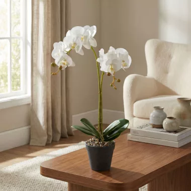GLOBIZ 11918 Műnövény dekoráció - orchidea - 2 féle - 54 cm