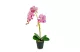 GLOBIZ 11918 Műnövény dekoráció - orchidea - 2 féle - 54 cm