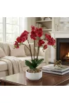GLOBIZ 11919 Műnövény dekoráció - orchidea - 5 féle - 56 cm GLOBIZ 11919 Műnövény dekoráció - orchidea - 5 féle - 56 cm