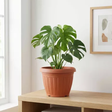 GLOBIZ 11992 Műanyag virágcserép - terrakotta - 25 cm GLOBIZ 11992 Műanyag virágcserép - terrakotta - 25 cm