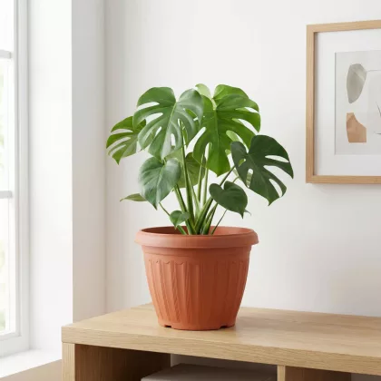 GLOBIZ 11992 Műanyag virágcserép - terrakotta - 25 cm GLOBIZ 11992 Műanyag virágcserép - terrakotta - 25 cm