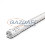 41101C T8 fénycső