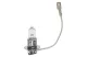 Carguard 50738 Halogén izzó BHA052 - H3-12V-55W +30%