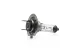 Carguard 50740 Halogén izzó BHA054 - H7-12V-55W +30% - 3