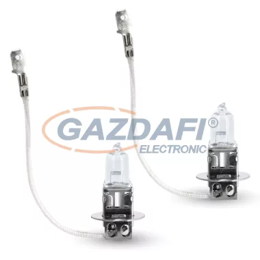 CARGUARD 50902 Halogén izzó