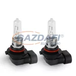 CARGUARD 50905 Halogén izzó