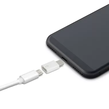 Delight 55448C Adapter - MicroUSB - Type-C