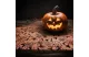 FAMILY 58204B Asztalterítő futó - halloween-i motívumokkal - 180 x 28 cm FAMILY 58204B Asztalterítő futó - halloween-i motívumokkal - 180 x 28 cm
