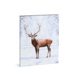   Family Decor 58475 LED-es fali kép - szarvas - 20 hidegfehér LED - 30 x 40 cm