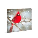   Family Decor 58478 LED-es fali kép - vörös pinty - 20 hidegfehér LED - 30 x 30 cm