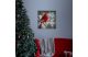Family Decor 58478 LED-es fali kép - vörös pinty - 20 hidegfehér LED - 30 x 30 cm