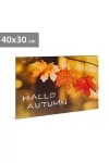 Family Decor 58502 LED-es fali kép - "Helló ősz", falevelek - 5 melegfehér LED - 40 x 30 cm
