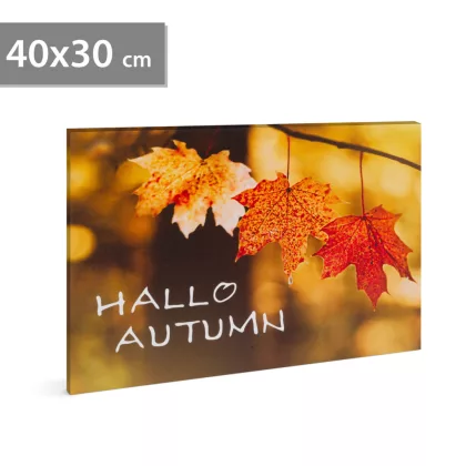   Family Decor 58502 LED-es fali kép - "Helló ősz", falevelek - 5 melegfehér LED - 40 x 30 cm