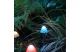 GARDEN OF EDEN 11243B LED-es szolár lámpa - 12 db mini gomba - színes - 28,5 cm x 4 cm - 2