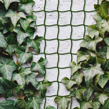   GARDEN OF EDEN 11467 Növényfuttató háló - 5 m x 50 cm - vágható műanyag - sötétzöld