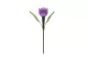 GARDEN OF EDEN 11703 LED-es szolár tulipánlámpa