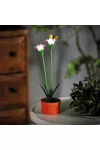 GARDEN OF EDEN 11735A Szolár színes virág - 8 x 8 x 32 cm - 10 melegfehér LED - lila