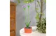 GARDEN OF EDEN 11735A Szolár színes virág - 8 x 8 x 32 cm - 10 melegfehér LED - lila GARDEN OF EDEN 11735A Szolár színes virág - 8 x 8 x 32 cm - 10 melegfehér LED - lila