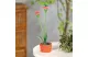 GARDEN OF EDEN 11735B Szolár színes virág - 8 x 8 x 32 cm - 10 melegfehér LED - piros GARDEN OF EDEN 11735B Szolár színes virág - 8 x 8 x 32 cm - 10 melegfehér LED - piros