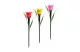 GARDEN OF EDEN 11750 LED-es szolár tulipánlámpa - sárga / piros / rózsaszín - 31 cm - 24 db / kínáló