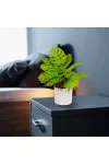 GLOBIZ 11888 Műnövény dekoráció - monstera - 22 x 8,5 cm GLOBIZ 11888 Műnövény dekoráció - monstera - 22 x 8,5 cm