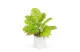 GLOBIZ 11888 Műnövény dekoráció - monstera - 22 x 8,5 cm GLOBIZ 11888 Műnövény dekoráció - monstera - 22 x 8,5 cm