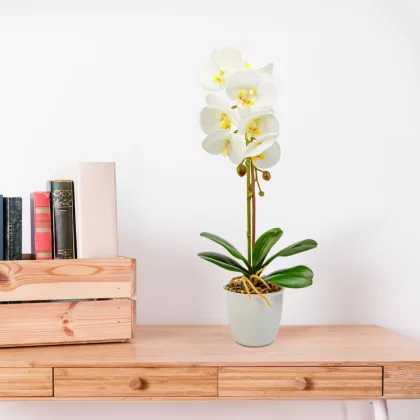   GLOBIZ 11901B Műnövény dekoráció - orchidea - fehér - 48 cm