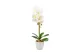 GLOBIZ 11901B Műnövény dekoráció - orchidea - fehér - 48 cm GLOBIZ 11901B Műnövény dekoráció - orchidea - fehér - 48 cm