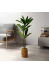 GLOBIZ 11906 Műnövény dekoráció - Dracaena Fragrans - 1,1-1,2 m GLOBIZ 11906 Műnövény dekoráció - Dracaena Fragrans - 1,1-1,2 m