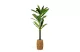 GLOBIZ 11906 Műnövény dekoráció - Dracaena Fragrans - 1,1-1,2 m
