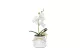 GLOBIZ 11915 Műnövény dekoráció - orchidea - 3 féle - 32,5 cm GLOBIZ 11915 Műnövény dekoráció - orchidea - 3 féle - 32,5 cm