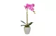 GLOBIZ 11916 Műnövény dekoráció - orchidea - 3 féle - 45 cm GLOBIZ 11916 Műnövény dekoráció - orchidea - 3 féle - 45 cm