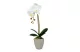 GLOBIZ 11916 Műnövény dekoráció - orchidea - 3 féle - 45 cm GLOBIZ 11916 Műnövény dekoráció - orchidea - 3 féle - 45 cm