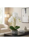 GLOBIZ 11917 Műnövény dekoráció - orchidea - 2 féle - 53 cm