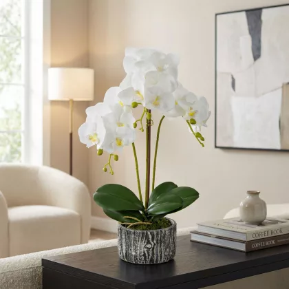   GLOBIZ 11917 Műnövény dekoráció - orchidea - 2 féle - 53 cm