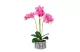 GLOBIZ 11917 Műnövény dekoráció - orchidea - 2 féle - 53 cm GLOBIZ 11917 Műnövény dekoráció - orchidea - 2 féle - 53 cm