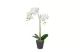 GLOBIZ 11918 Műnövény dekoráció - orchidea - 2 féle - 54 cm