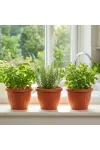 GLOBIZ 11991 Műanyag virágcserép - terrakotta - 20 cm GLOBIZ 11991 Műanyag virágcserép - terrakotta - 20 cm