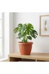 GLOBIZ 11992 Műanyag virágcserép - terrakotta - 25 cm