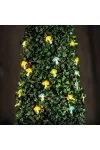 GARDEN OF EDEN 58220C Szolár LED fényfüzér - gomba - 2,4 m - 25 LED - melegfehér GARDEN OF EDEN 58220C Szolár LED fényfüzér - gomba - 2,4 m - 25 LED - melegfehér