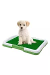 YUMMIE 60016 Kutya WC - 47 x 34 x 6 cm - 1 L
