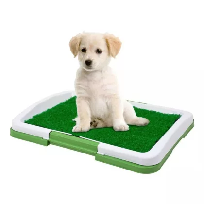 YUMMIE 60016 Kutya WC - 47 x 34 x 6 cm - 1 L YUMMIE 60016 Kutya WC - 47 x 34 x 6 cm - 1 L