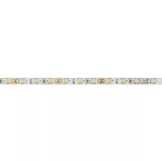   GTV LD-3528-300-65-ZB LED szalag FLASH 3528, 60 LEDs/m, 6500K, 4,8 W/m, 280 lm/m, 12VDC, IP65, 8 mm, roll 5 m
