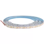   GREENLUX GXDS319 DAISY  120LED/m IP20 CW 5m 12W/m - LED szalag,8 x 5000,6500K