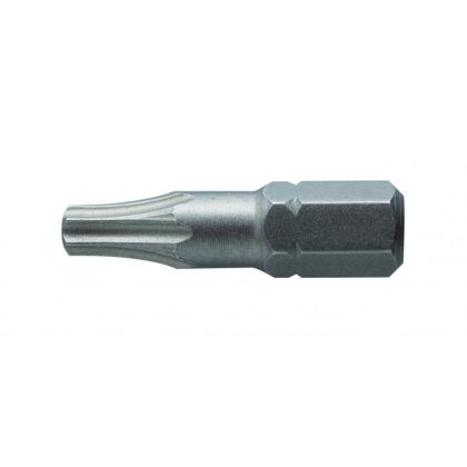   HÖGERT HT1S364 Csavarhúzó bit, TORX 25, 25 mm, S2 acél, 2 részes buborékfólia