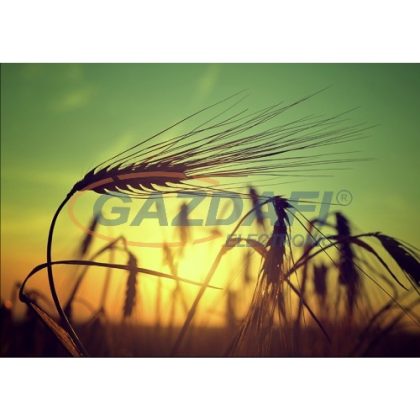   TECHNOTHERM ISP-MG 950 RF Infrapanel, 0,95kW, "gabona" nyomtatott, porszórt felülett, külső termosztáttal  vagy interneten vezérelhető