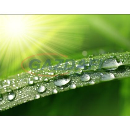   TECHNOTHERM ISP-MM 750 RF Infrapanel, 0,75kW, "rét" nyomtatott, porszórt felülett, külső termosztáttal  vagy interneten vezérelhető