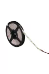 KANLUX 24538 LEDS-B 9,6W/M IP65-CW 5m LED szalag 12V DC 6500K IP65 KANLUX 24538 LEDS-B 9,6W/M IP65-CW 5m LED szalag 12V DC 6500K IP65