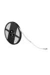 KANLUX 37236 NEON LED12W/M IP65-CW LEDSZ. 24V DC 5m 24V DC 5700K IP65 KANLUX 37236 NEON LED12W/M IP65-CW LEDSZ. 24V DC 5m 24V DC 5700K IP65